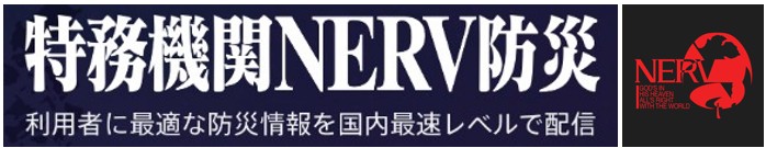 nerv